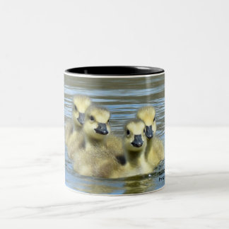 Caneca De Café Em Dois Tons Bebês