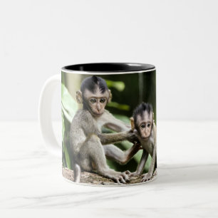 Caneca De Café Em Dois Tons Bebês Macacos na Natureza
