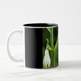 Caneca De Café Em Dois Tons Beija