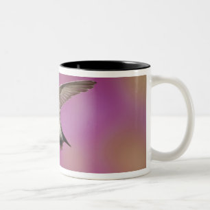 Caneca De Café Em Dois Tons Beija-flor-de-garganta-preta, Archilochus