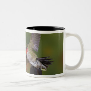 Caneca De Café Em Dois Tons Beija-flor-de-garganta-rubra macho