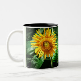 Caneca De Café Em Dois Tons Bela Girassol