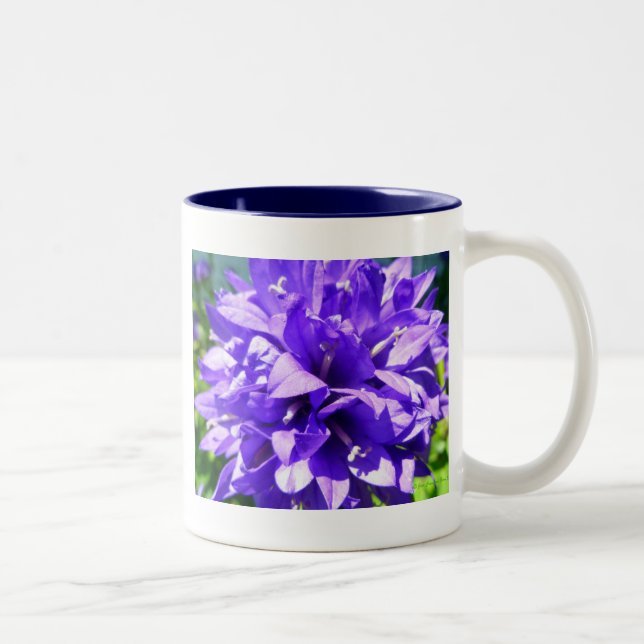 Caneca De Café Em Dois Tons Bellflower Clustered (Campanula glomerata Superba) (Direita)