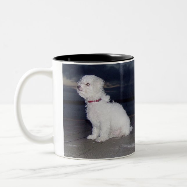 Caneca De Café Em Dois Tons Bichons no crepúsculo (Esquerda)