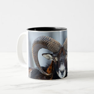Caneca De Café Em Dois Tons Big Horn Ram Sheep - Mouflon