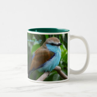 Caneca De Café Em Dois Tons bird-2, amam seu fluff!