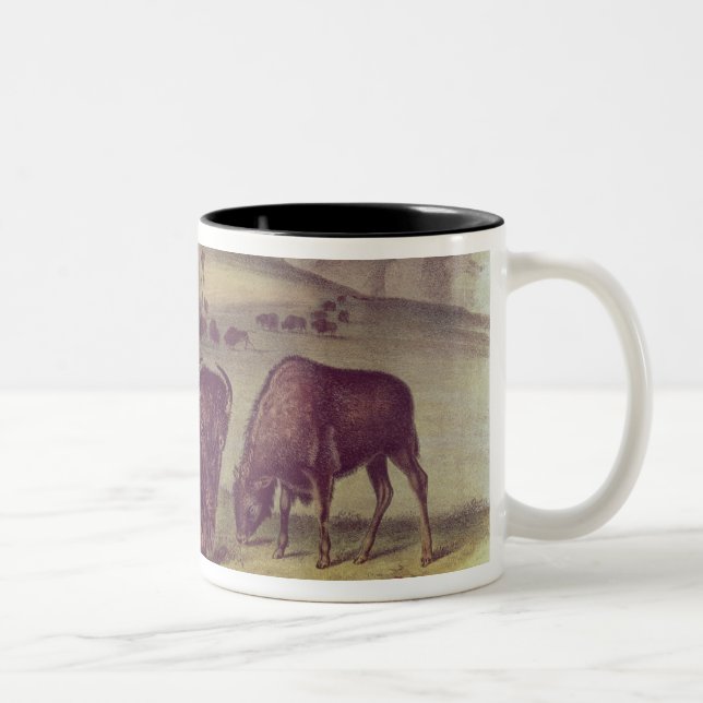 Caneca De Café Em Dois Tons Bisonte americano ou búfalo (Direita)