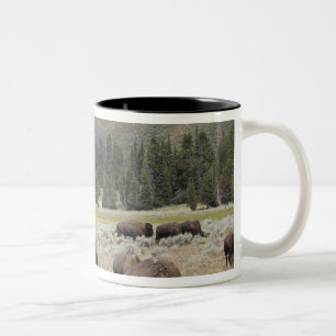 Caneca De Café Em Dois Tons Bisonte no vale de Hayden de Yellowstone