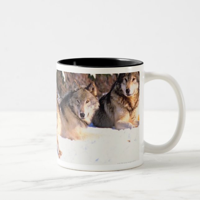 Caneca De Café Em Dois Tons Bloco dos lobos no inverno (Direita)