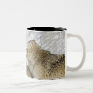 Caneca De Café Em Dois Tons Bloco dos lobos que interagem