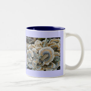 Caneca De Café Em Dois Tons Blue Shelf Fungus Mug