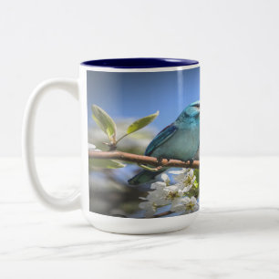 Caneca De Café Em Dois Tons Bluebird