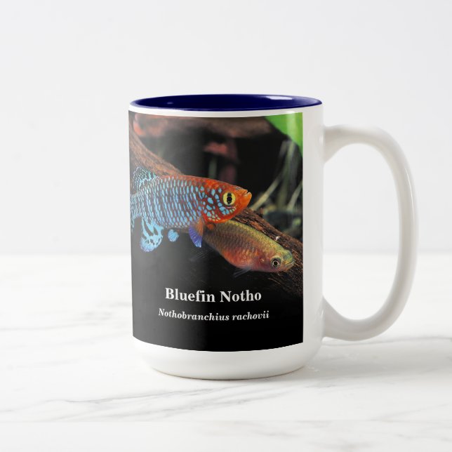 Caneca De Café Em Dois Tons Bluefin notho , Nothobranchius rachovii (Direita)