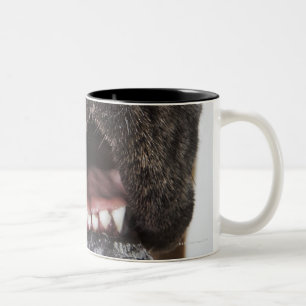 Caneca De Café Em Dois Tons Boca de great dane, fim-acima