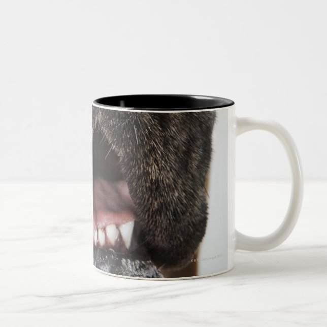 Caneca De Café Em Dois Tons Boca de great dane, fim-acima (Direita)
