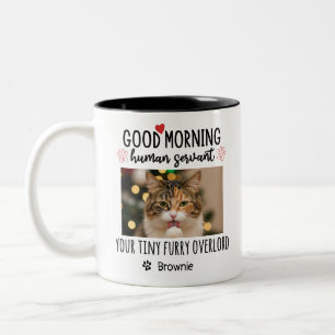 Caneca De Café Em Dois Tons Bom Dia Gato Humano Servo Personalizado Gato Engra