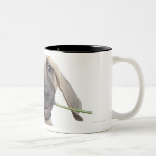 Caneca De Café Em Dois Tons bonito, admiração, romance, amor,