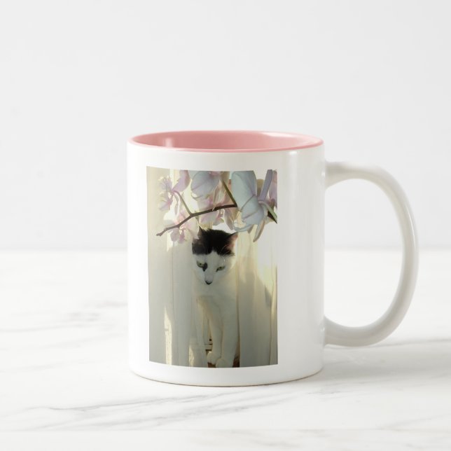 Caneca De Café Em Dois Tons Bonito Gato Branco (Direita)