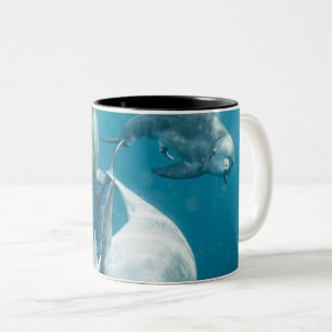 Caneca De Café Em Dois Tons Bonitos golfinhos