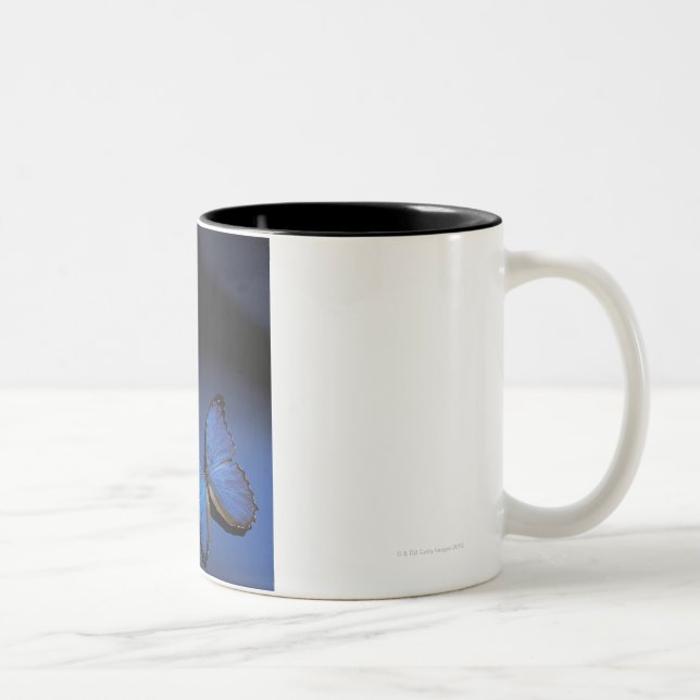 Caneca De Café Em Dois Tons Borboleta azul (Direita)