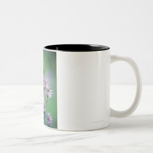 Caneca De Café Em Dois Tons Borboleta de monarca (Direita)