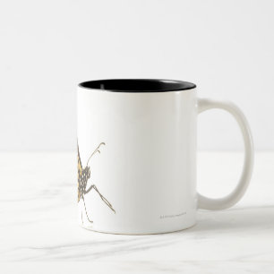 Caneca De Café Em Dois Tons Borboleta de monarca