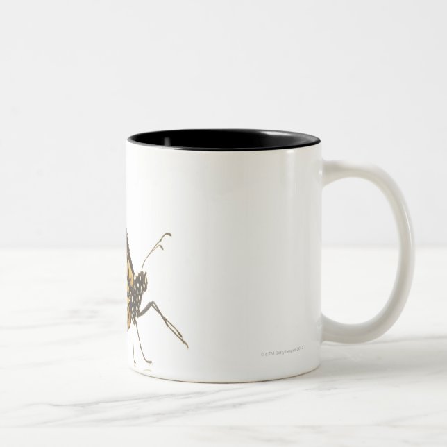 Caneca De Café Em Dois Tons Borboleta de monarca (Direita)
