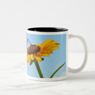 Caneca De Café Em Dois Tons Borboleta de monarca em uma Susan de olhos pretos