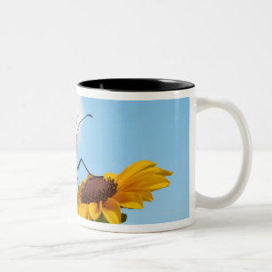 Caneca De Café Em Dois Tons Borboleta de monarca em uma Susan de olhos pretos