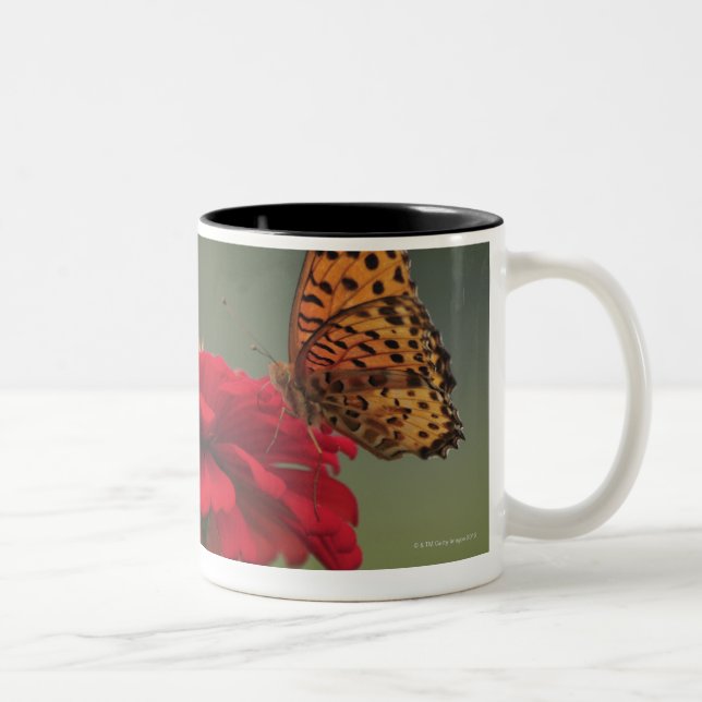 Caneca De Café Em Dois Tons Borboleta do Fritillary (hyperbius de Argyreus) em (Direita)