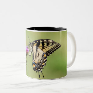 Caneca De Café Em Dois Tons Borboleta do Swallowtail do Tigre Oriental