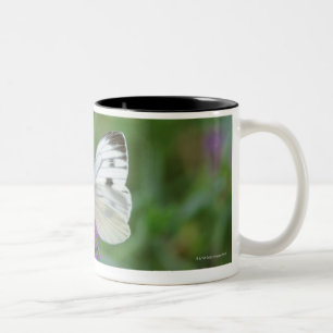 Caneca De Café Em Dois Tons Borboleta na flor