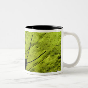 Caneca De Café Em Dois Tons Borboleta na folha