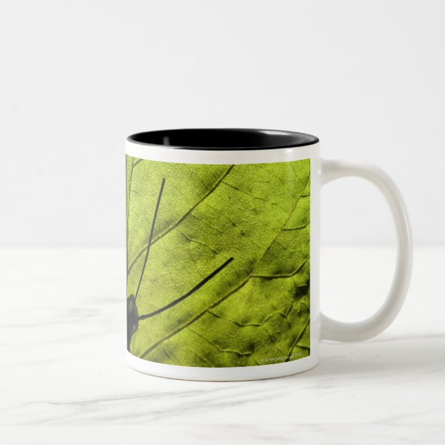 Caneca De Café Em Dois Tons Borboleta na folha (Direita)