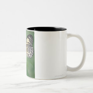 Caneca De Café Em Dois Tons Borboleta na folha