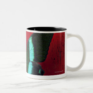 Caneca De Café Em Dois Tons Borboleta preta e azul na parede vermelha