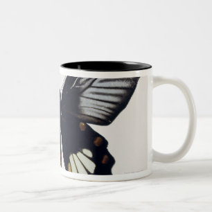 Caneca De Café Em Dois Tons Borboleta preta e marrom