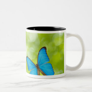 Caneca De Café Em Dois Tons Borboletas que voam, composto de Digitas