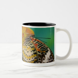 Caneca De Café Em Dois Tons Borboletas tropicais do Lacewing do leopardo