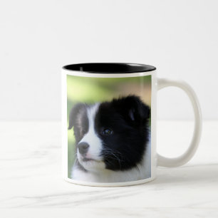 Caneca De Café Em Dois Tons Border collie