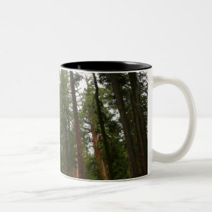 Caneca De Café Em Dois Tons Bosque Mariposa no Parque Nacional de Yosemite