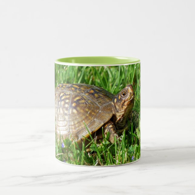 Caneca De Café Em Dois Tons Box Turtle (Centro)