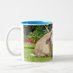 Caneca De Café Em Dois Tons Brown lopped o coelho da orelha com lavanda