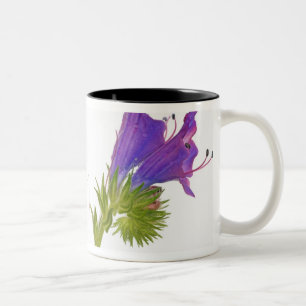 Caneca De Café Em Dois Tons Bugloss roxo das víboras (plantagineum do echium)