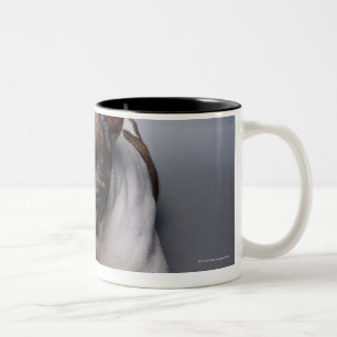 Caneca De Café Em Dois Tons Buldogue francês