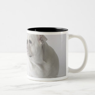 Caneca De Café Em Dois Tons Buldogue inglês branco