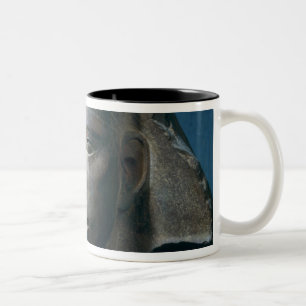 Caneca De Café Em Dois Tons Cabeça do rei Djedefre, de Abu Roash, velho