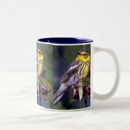 Caneca De Café Em Dois Tons Cabo May Warbler, Aves