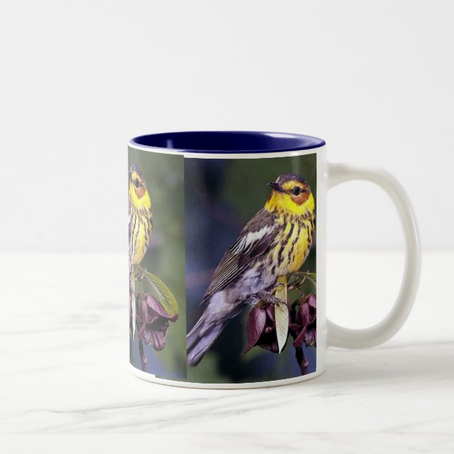 Caneca De Café Em Dois Tons Cabo May Warbler, Aves (Direita)