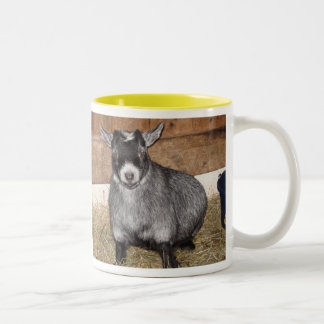 Caneca De Café Em Dois Tons Cabra do pigmeu, não uma pessoa da manhã